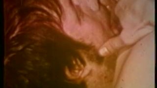 Peepshow Loops 49 Década De 1970 Escena 4