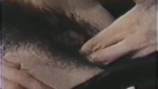 Peepshow 循环 319 70 年代和 80 年代 - 场景 3