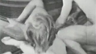 经典雄鹿 286 1960 年代 - 场景 4