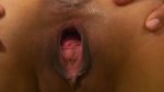 Playlist Thumb 15294311-1