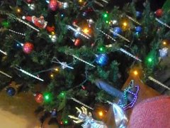 gay days of christmas, enjoy