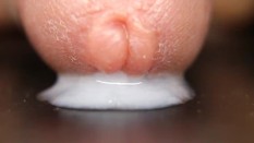 New