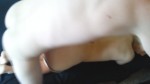Playlist Thumb 34064661-1