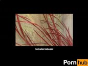 Swallow My Seed - Scene 10