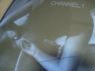 Big Dick Gloryholes 7 - Scene 5