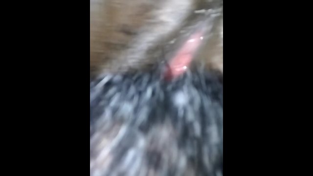 Cat gets her pussy licked sooo nasty