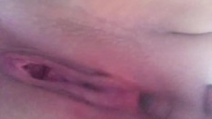 NZ Pussy