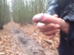 Public mastrubation - Screenshot 13 of 16 - Public Jerk