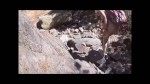 Afspeellijst thumbnail 193243112-1