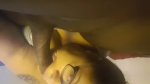 Playlist Thumb 31098351-1