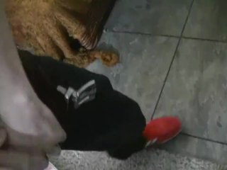 19 Year Old Cock Sucking Slut