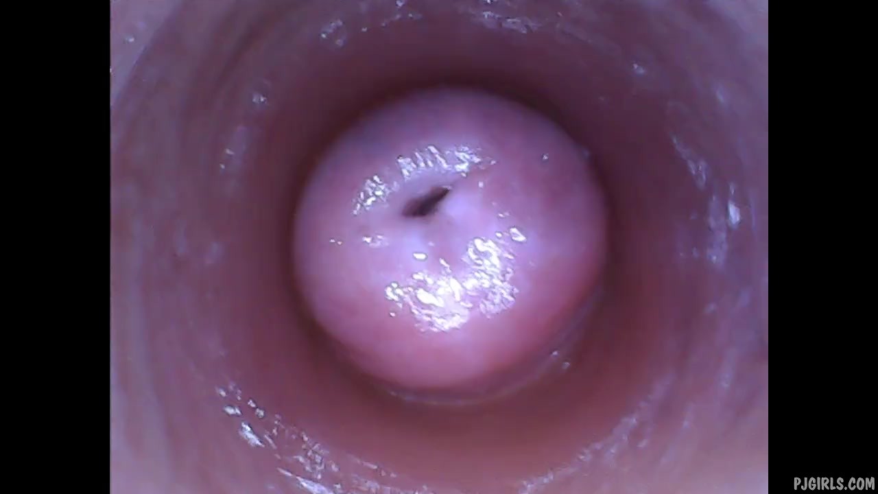 Kira - Perverses Selfie (Endoskop Muschi Cam Video) - Pornhub.com