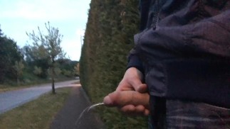 Иногда рискованно вытащить свой член и поссать