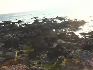 Cece_Capella's titties are too good to passup