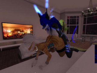 Fuka's Rendezvous #6 The Curious Cat