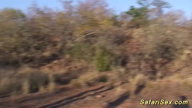 Extreme African Safari Sex Tour