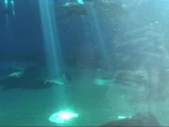 Hot date with Molly Manson and some hot creampie action