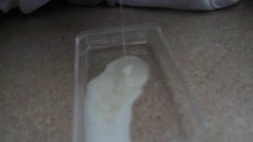 Loads of tasty Cum