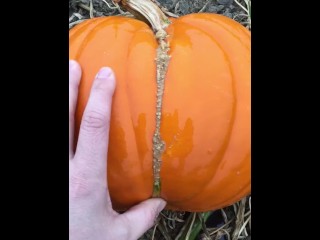 Naughty Pumpkin