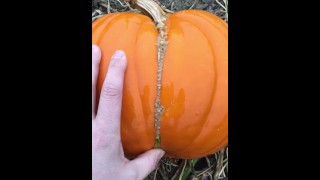 Naughty pumpkin