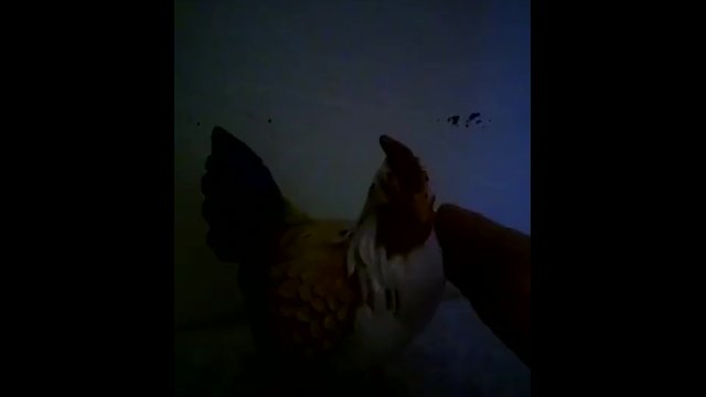Petting a hard, erect cock