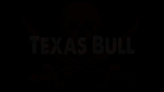 Texas Bull