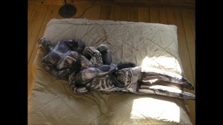 Android 驼峰 android