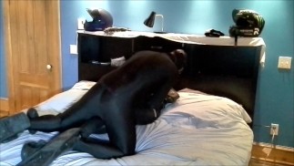 黑色氨纶鳍敌人驼峰逆戟鲸蛙人