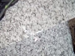 Pee in the condominium stairs