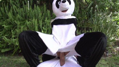 Panda Style: Detrás del Bamboo - Nicole Aniston, Kimmy Granger, Bridgette B
