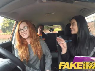 Fake Driving School - teaching teen leaners - 100% pass rate screenshot number 0