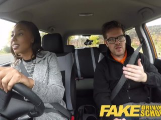 Fake Driving School - teaching teen leaners - 100% pass rate screenshot number 2