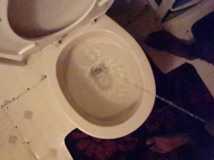 Alexs Piss After the Party