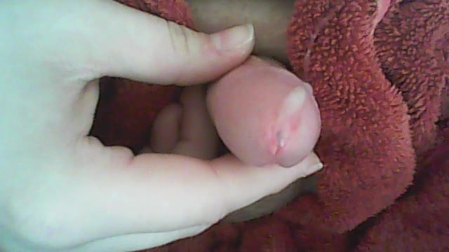 Small Penis Close up Cum (no Hands Kinda)