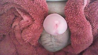 Close-Up Of A Small Penis With No Hands