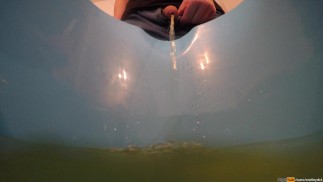 Грязная моча - вы должны ее попробовать/понюхать