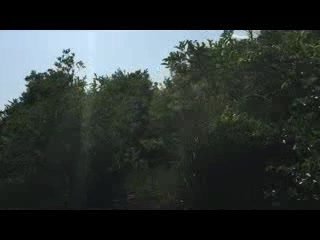 Golden Boy Torture Toy