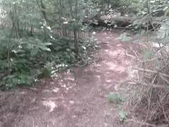 Off the Path: A Quick Walk in the Woods