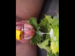 solo male, amateur, nettle play, ruined orgasm