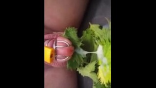 Orgasm With Nettles
