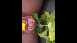 荨麻折磨性高潮