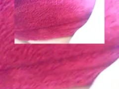 LoveDjOrale's First Toy and she loves it in Her thick Delicious fat Pussy
