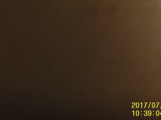 sexy twank sucking and riding my dick till cumpletion