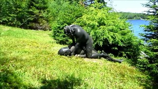 逆戟鲸捕食者在外面制服他的敌人