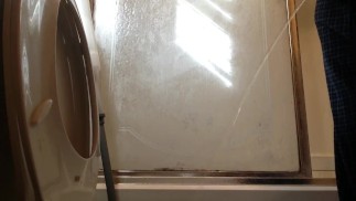 Must love my drool and pee fetish...