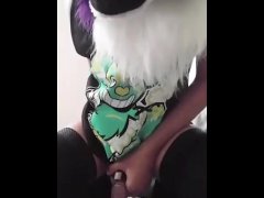 Good pup teasing himsefl