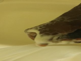 Horny in the shower
