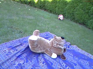 Outdoor in Skirt coconut_girl1991_260816 chaturbate REC