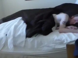 Ren And Stumpy Teaser