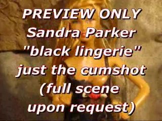 PREVIEW: Sandra Parker (black Lingerie) Blasted